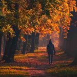 دانلود ریمیکس جدید زیاددددش کنننننننن – ترند اینستایی